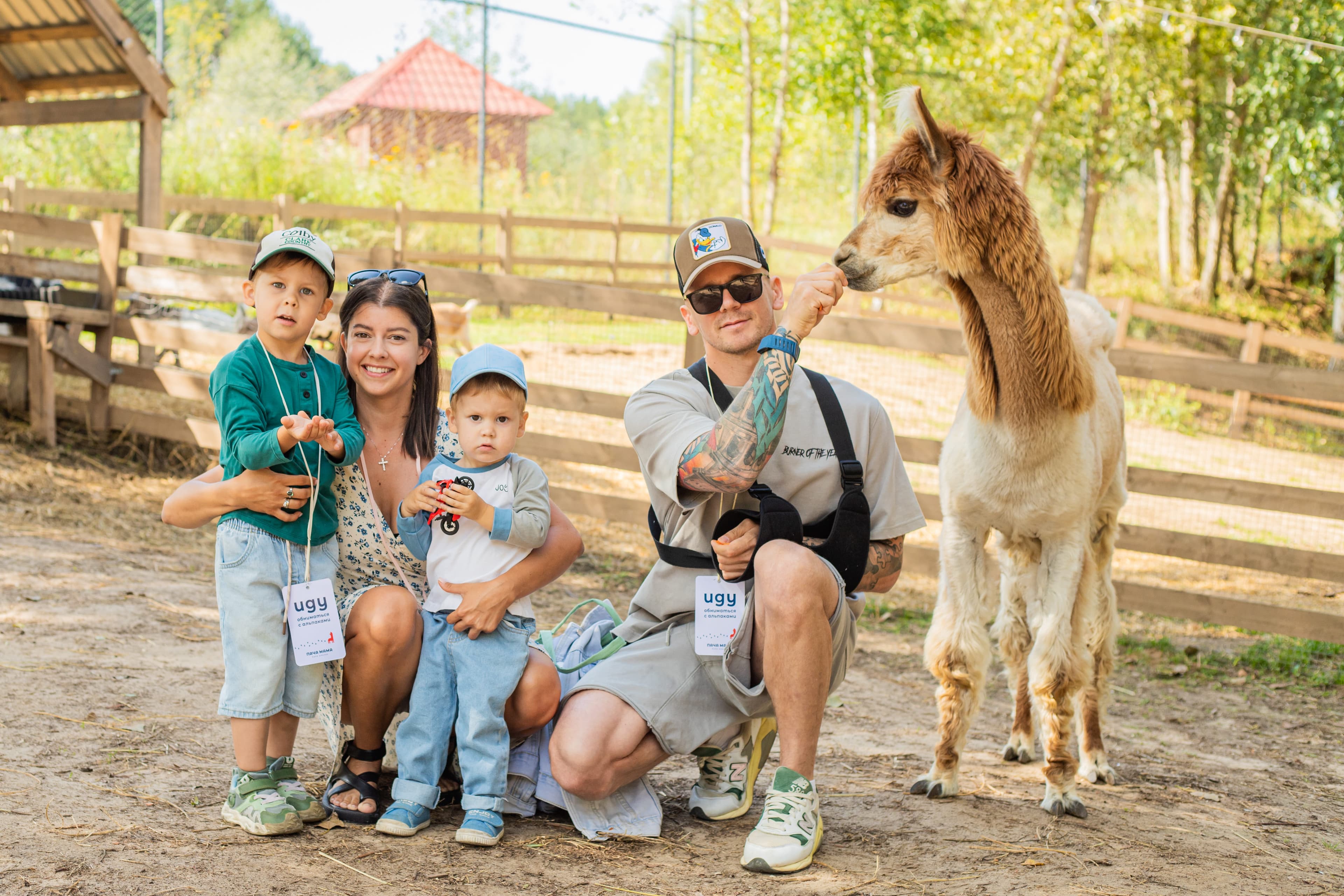 Экскурсия в выходные дни в парк альпак «Пача мама» (Парк альпак «Пача мама» (Нижние Вязовые))