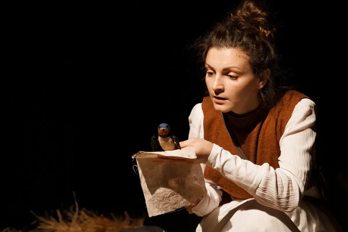 Дневник ласточки (Большой театр кукол)