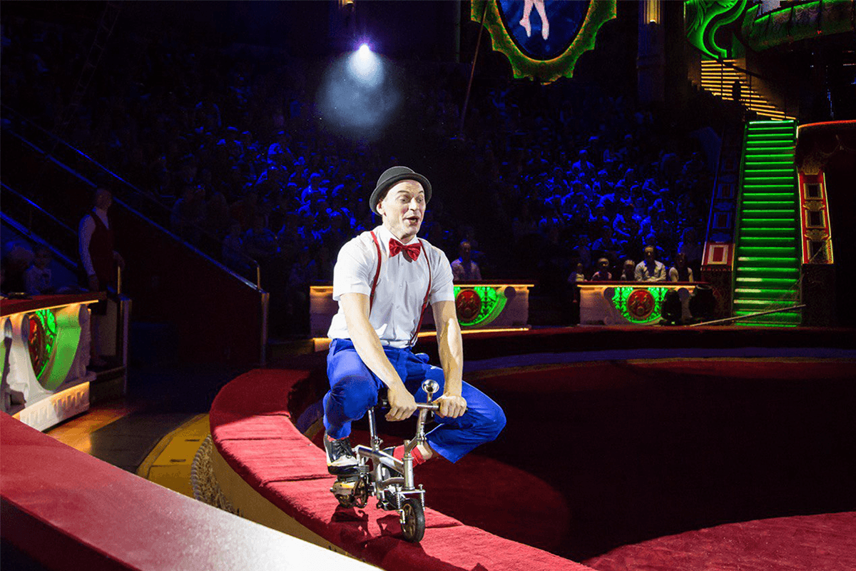 Цирк Никулина (Цирк-шапито Владимира Дерябкина)