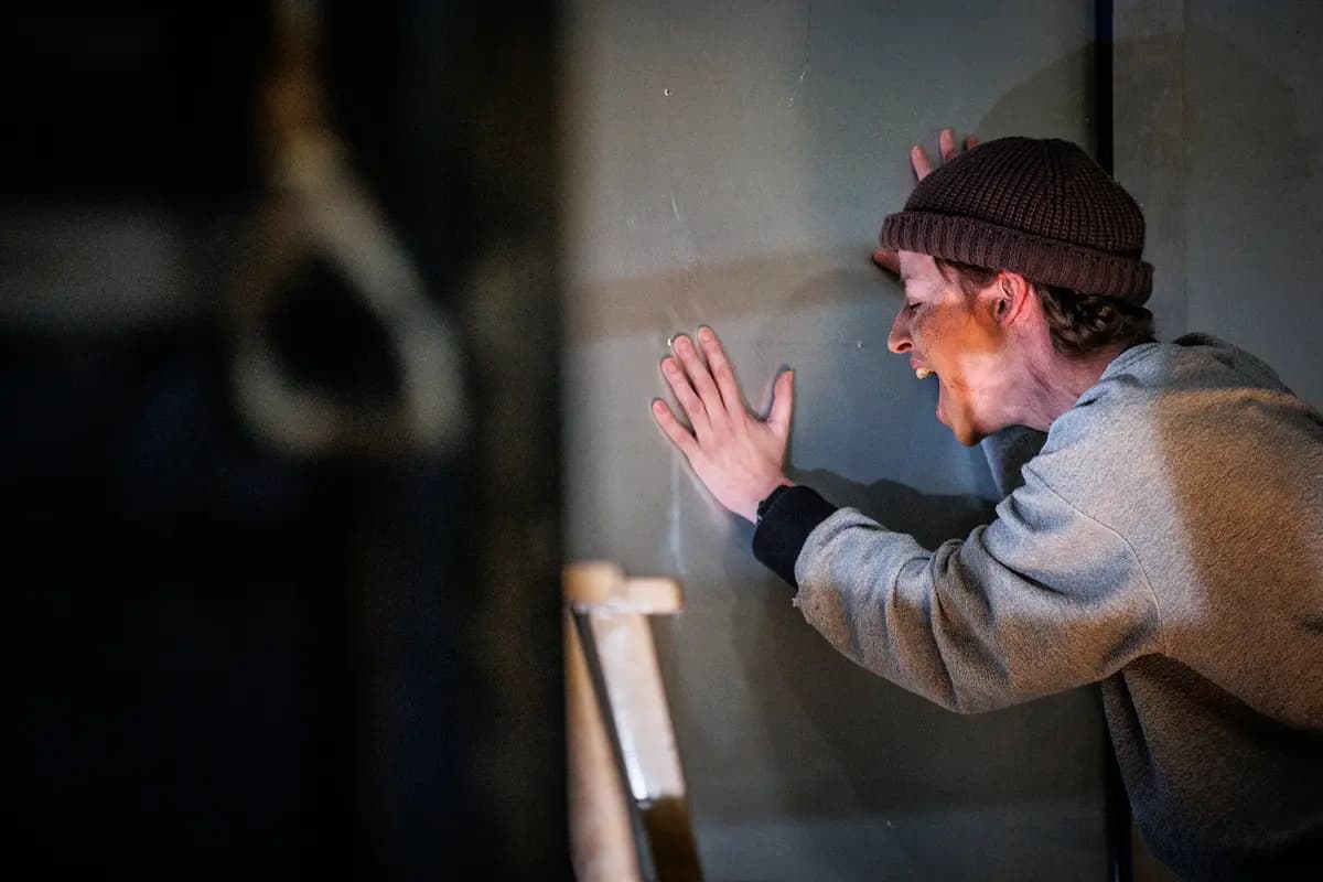 Человеческий голос (БДТ им. Г. А. Товстоногова)