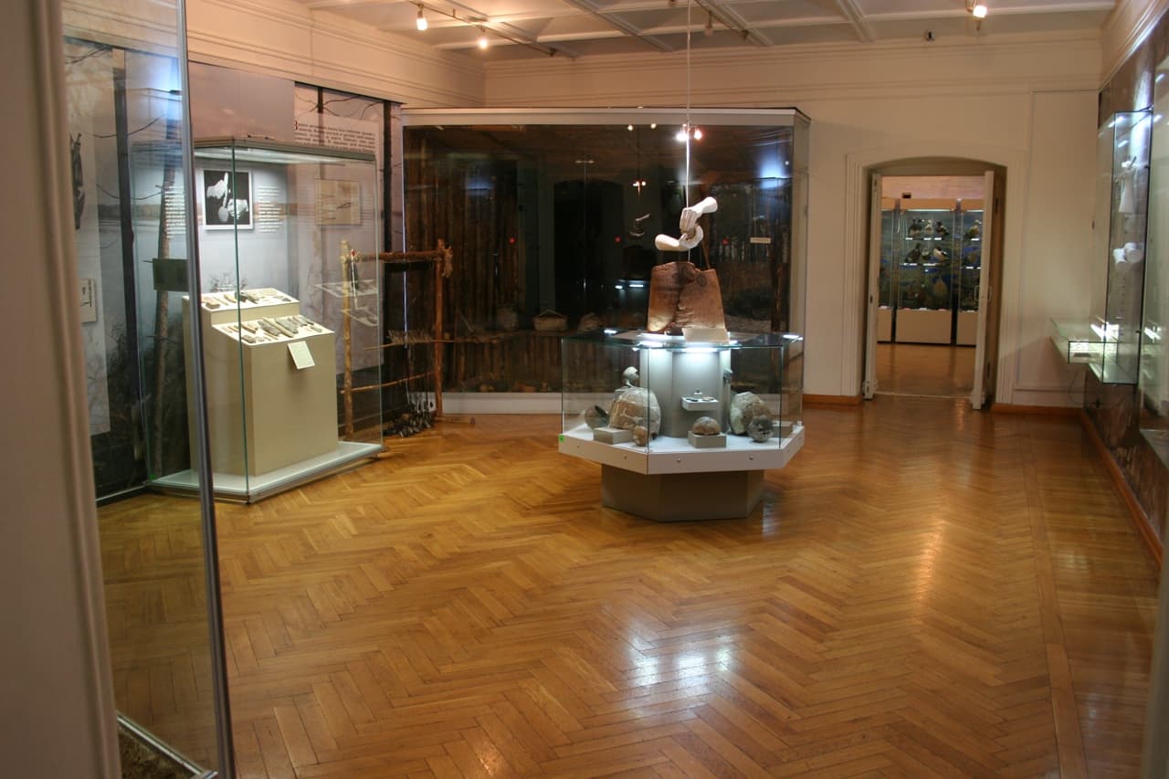 Экскурсия по всем выставкам второго этажа (Краеведческий музей им. Шатилова)