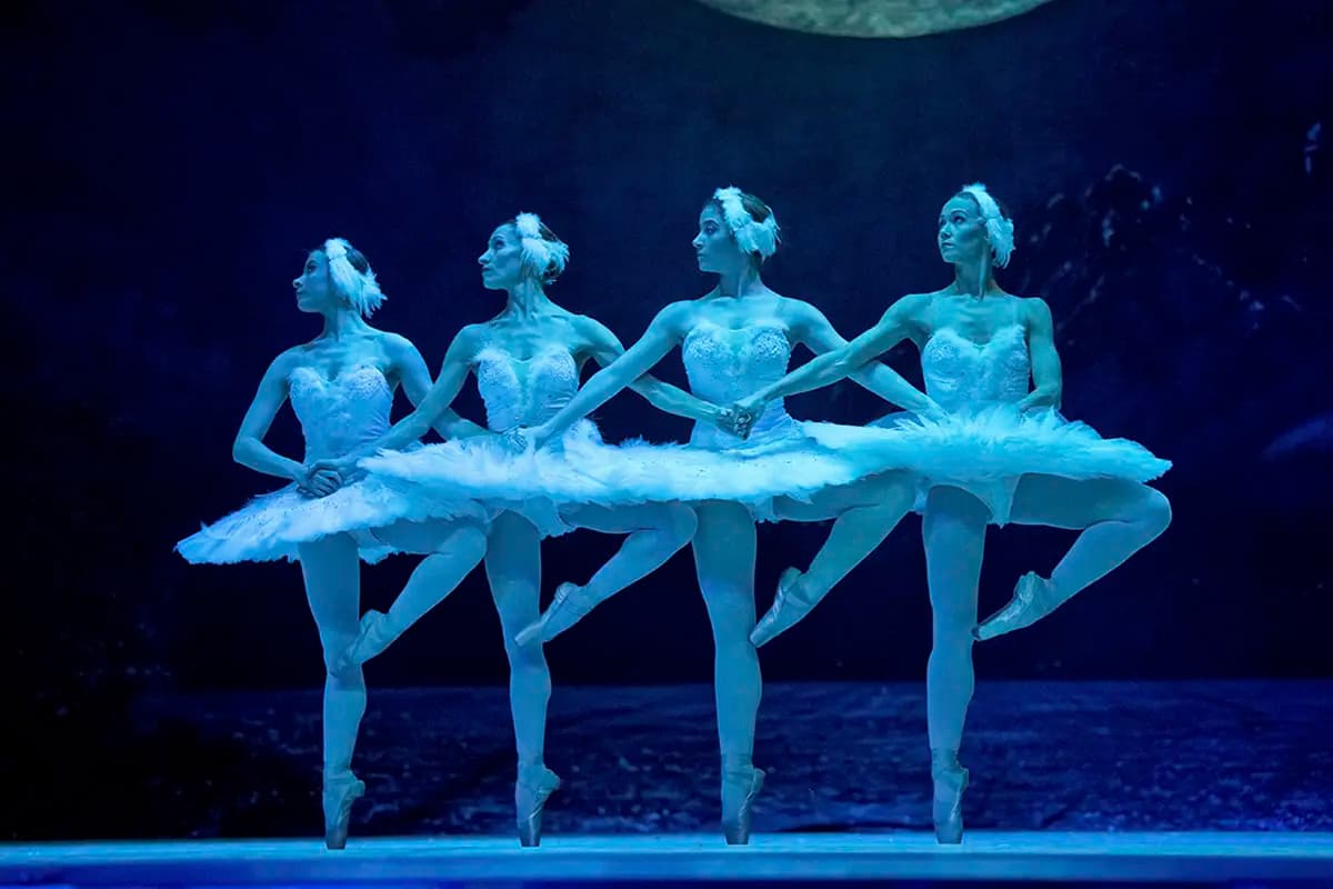Лебединое озеро (Музыкальный театр)