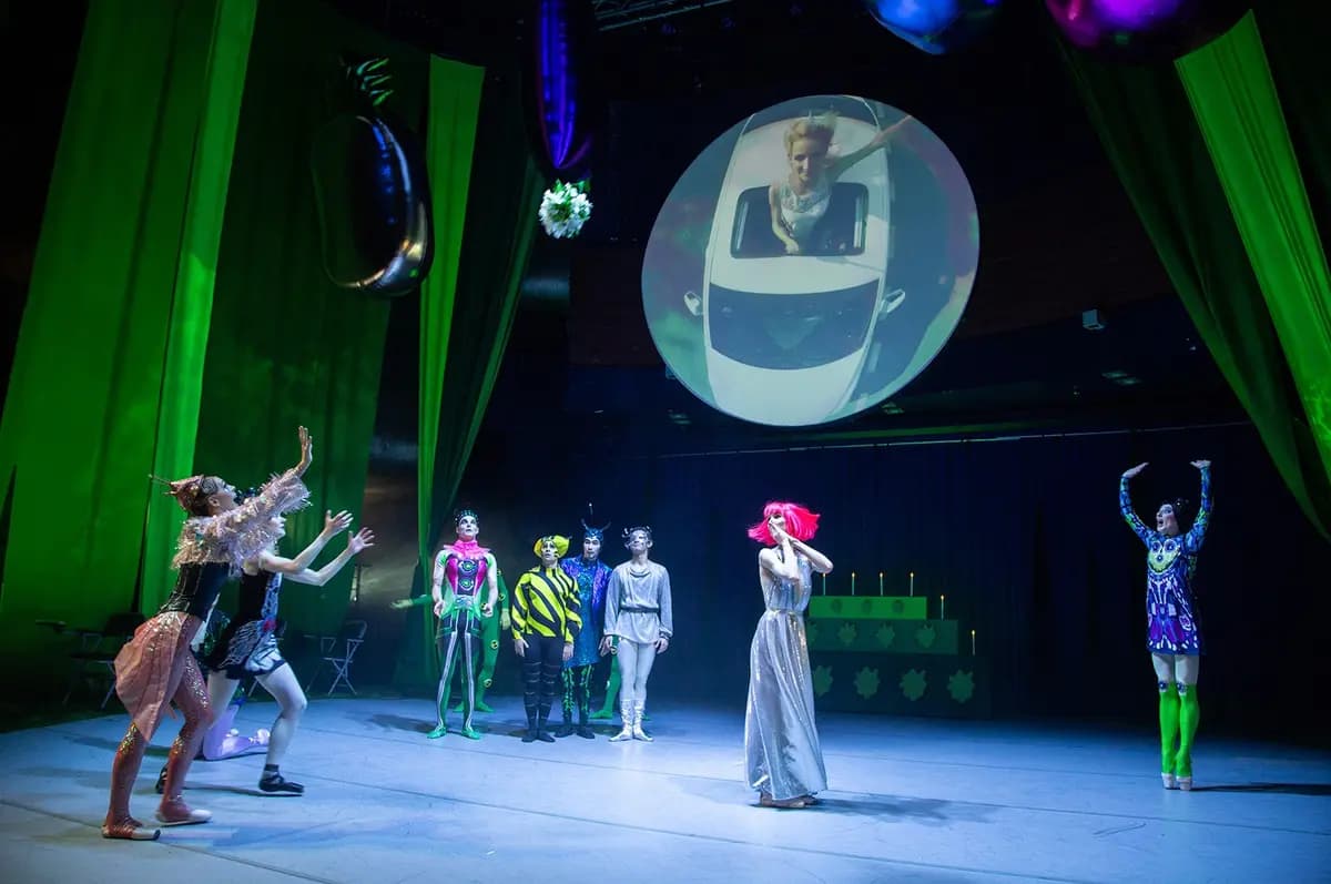 Муха-Цокотуха. Школьные годы (Музыкальный театр им. Сац)