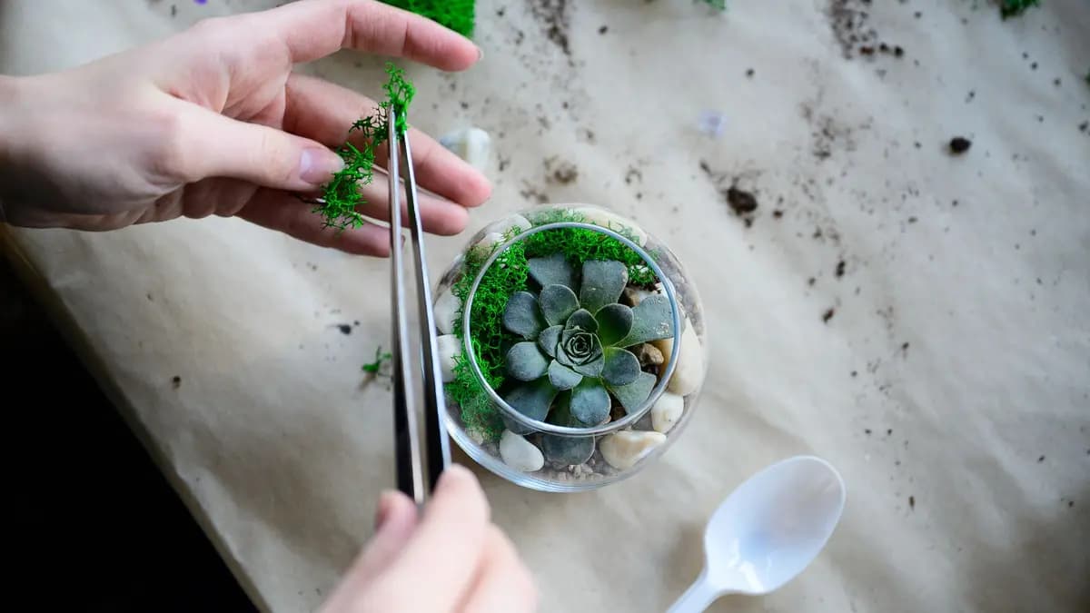 Создание флорариума (Музей станка)