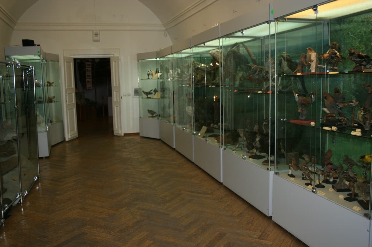 Экскурсия по всем выставкам первого этажа (Краеведческий музей им. Шатилова)