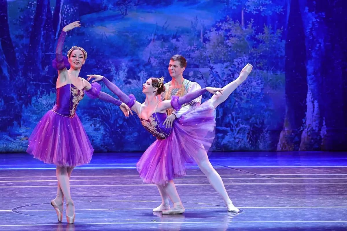 Лебединое озеро (Дом музыки)