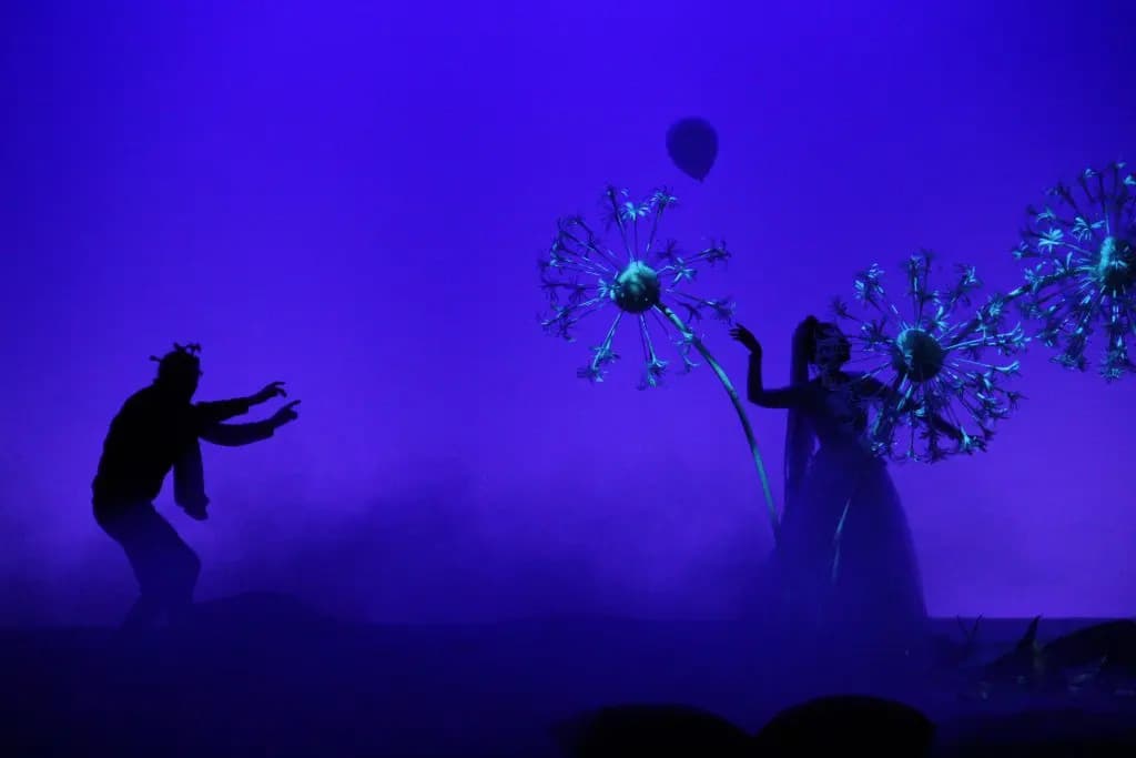 Ёжик в тумане (Театр юного зрителя)