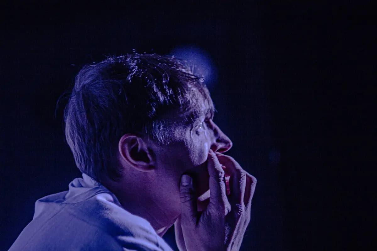 Крик изнутри. история Билли Миллигана (Мини театр)