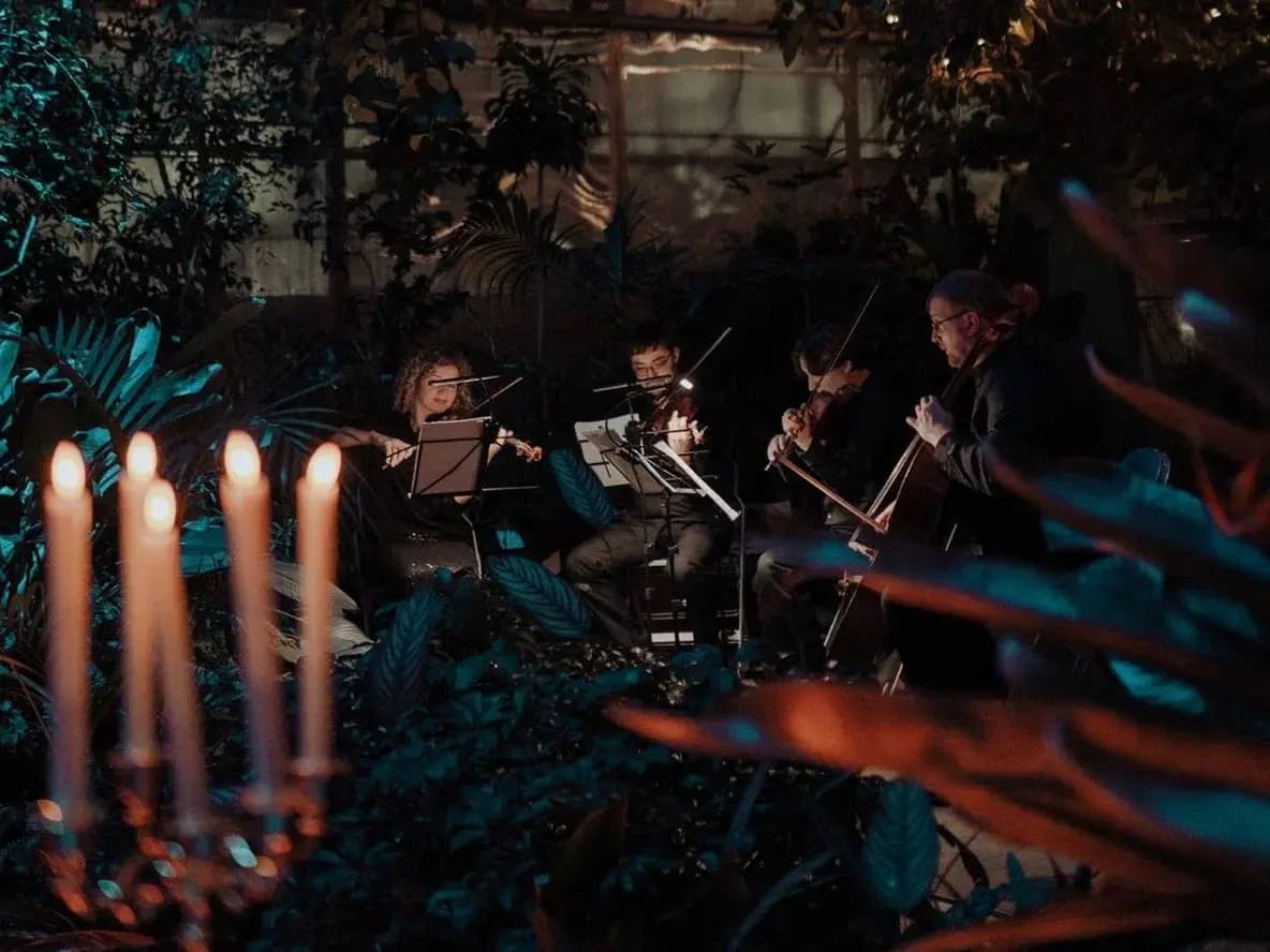 Магия свечей. Голливудские саундтреки в оранжерее (Оранжерея Таврического сада)