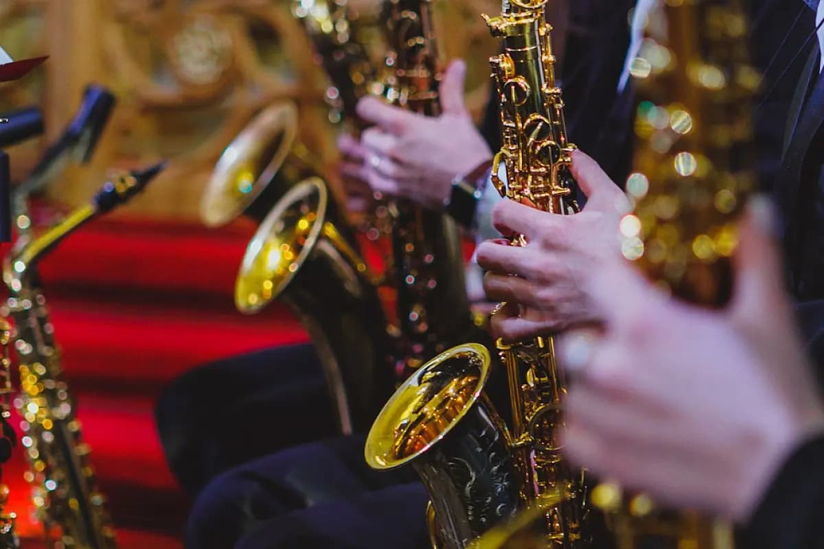 Орган саксофон шоу. От Вивальди до Стинга (Кафедральный собор Святых Петра и Павла)