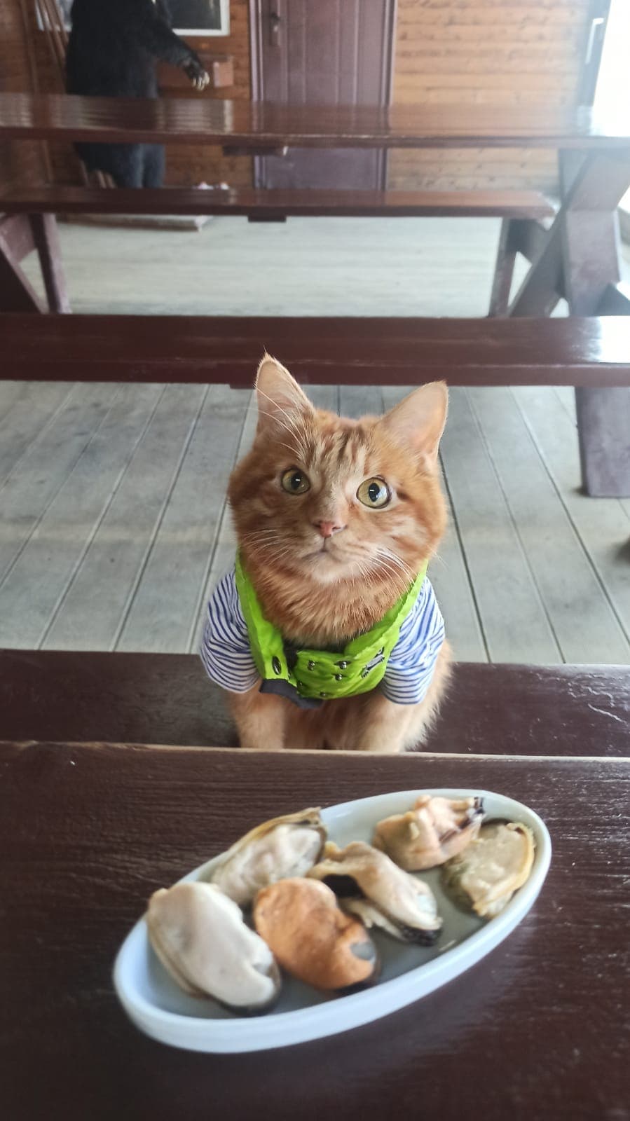 Морская ферма на острове Русский (Прогулка по острову Русский с посещением Морефермы)