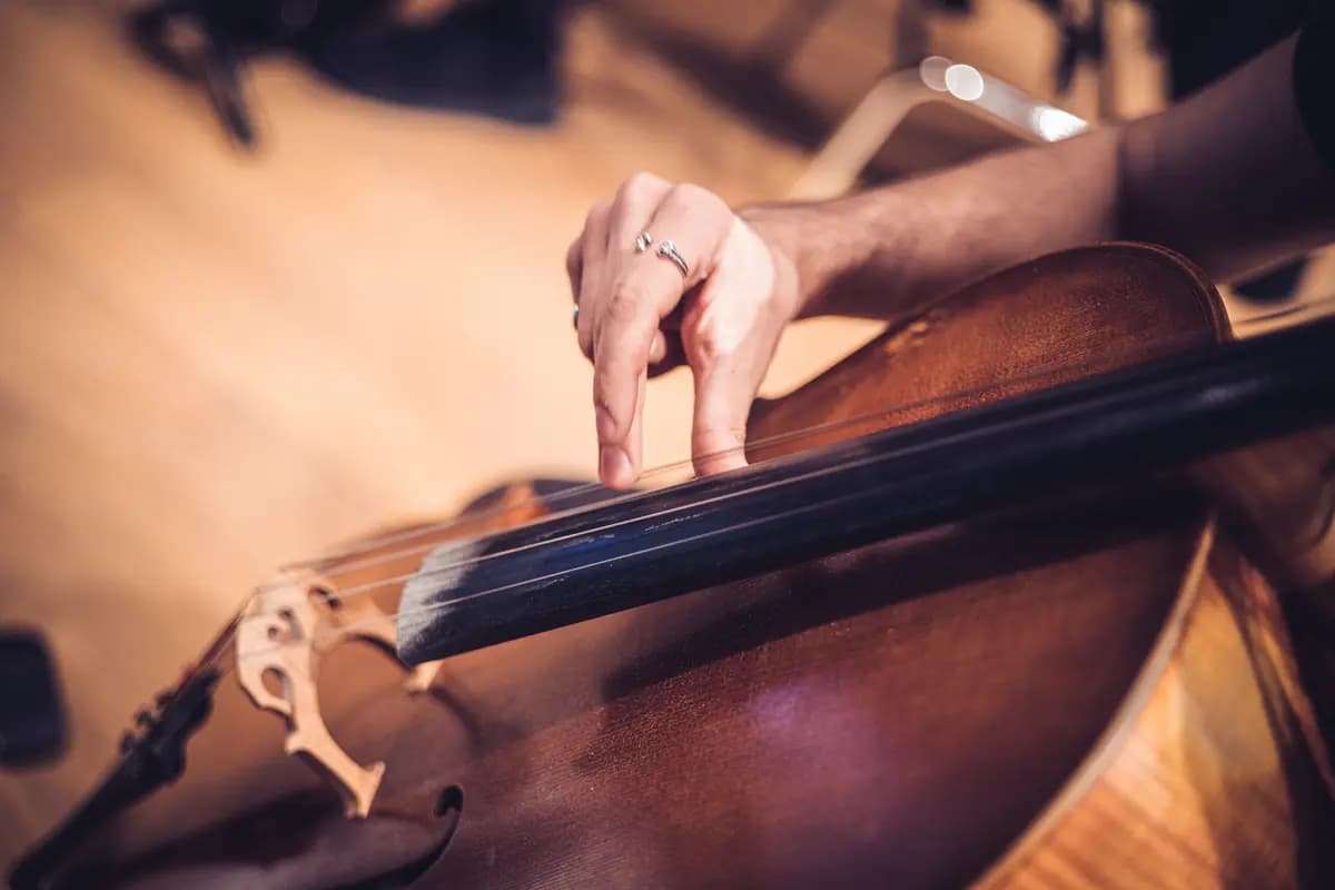 Симпл Мьюзик / Simple Music. Властелин колец. Братва и кольцо (Дом Simple Music)