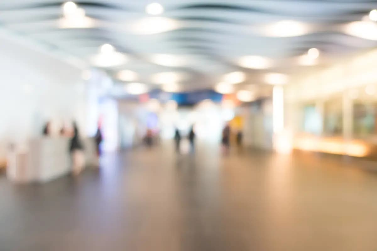 Белый свет (Художественный музей)