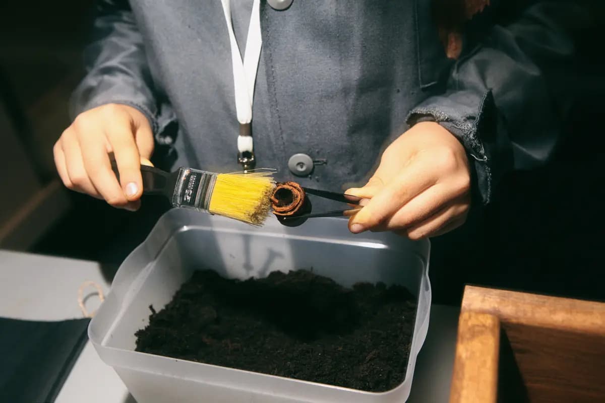 Sciencely. Археология (ТПУ. Корпус № 19)