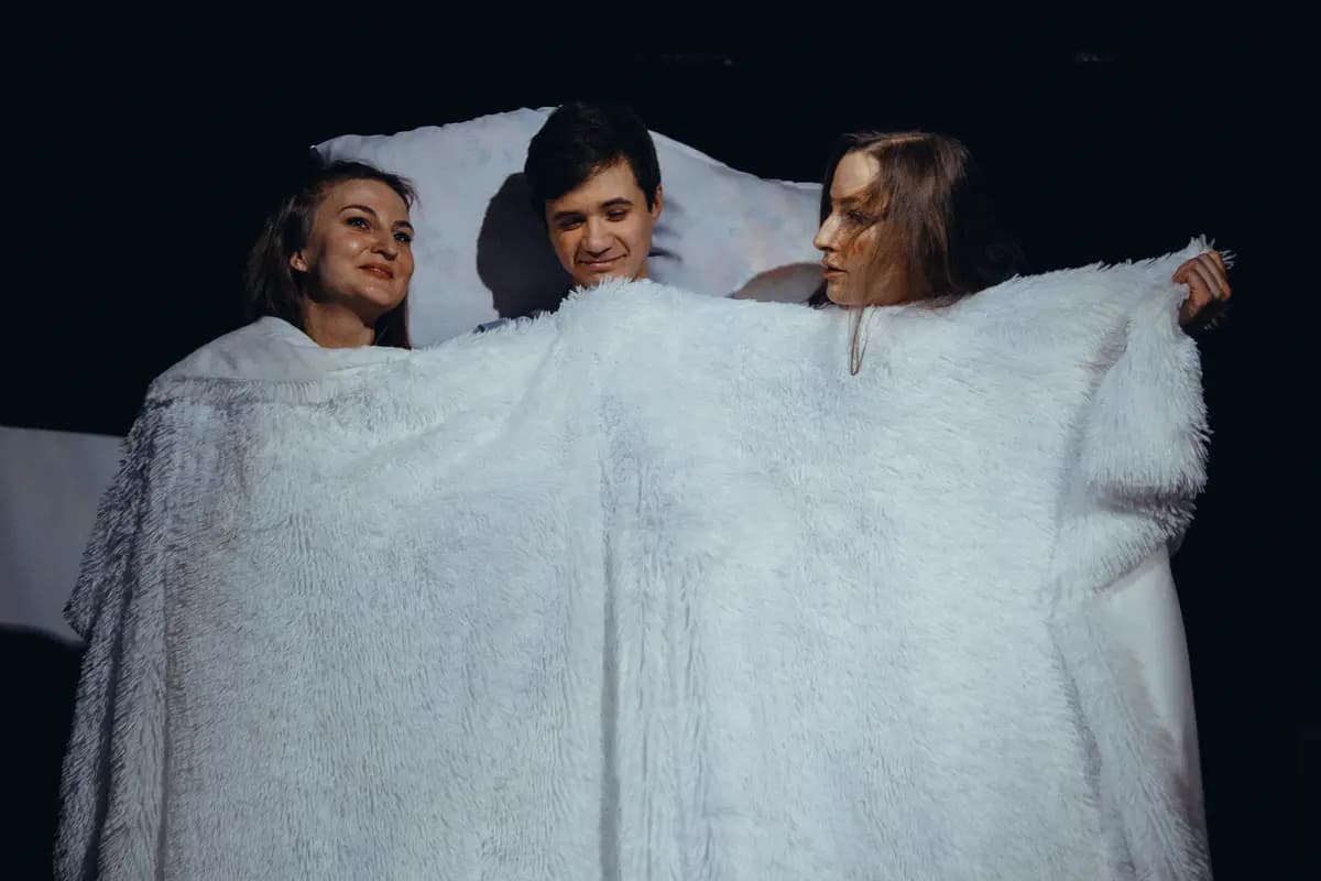 Анекдоты в чистом доме (Мистерия)