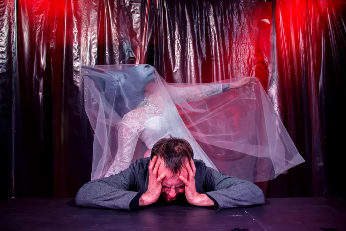 Идиот (Молодёжный театр «Драма»)