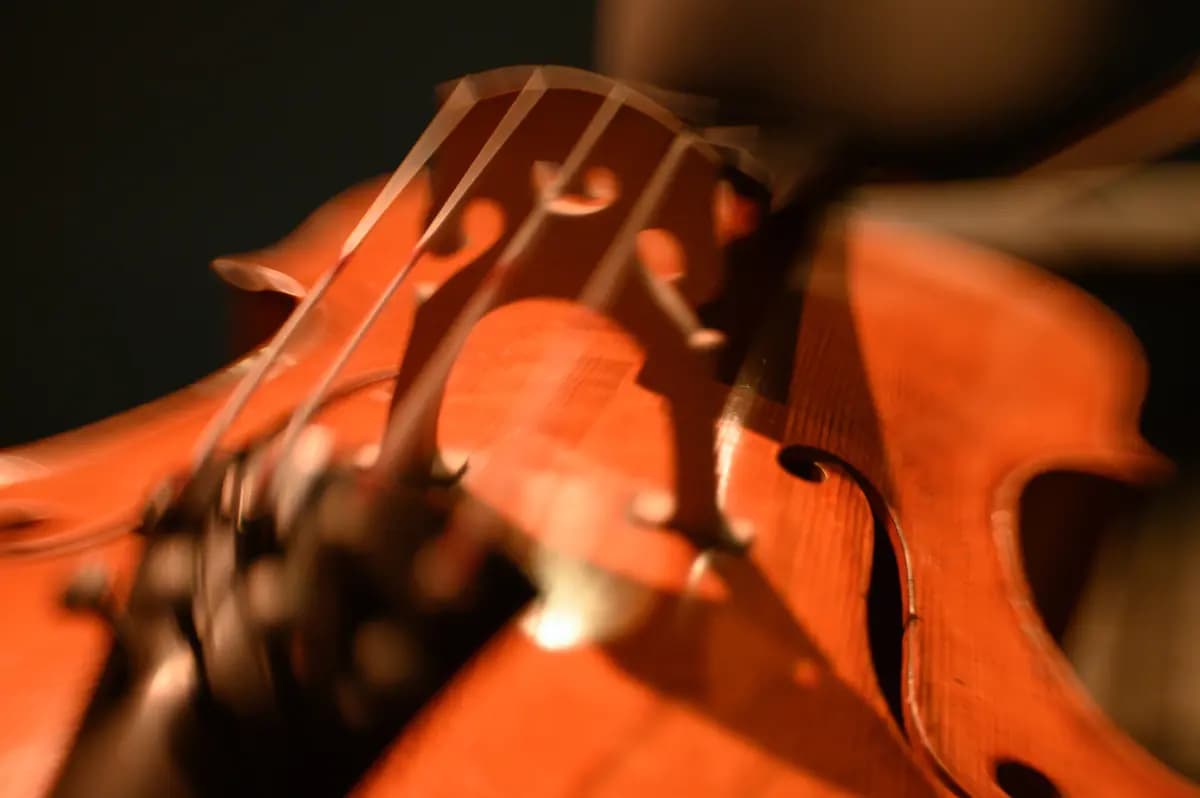 Элгар / Сибелиус (Театр оперы и балета им. П. И. Чайковского)