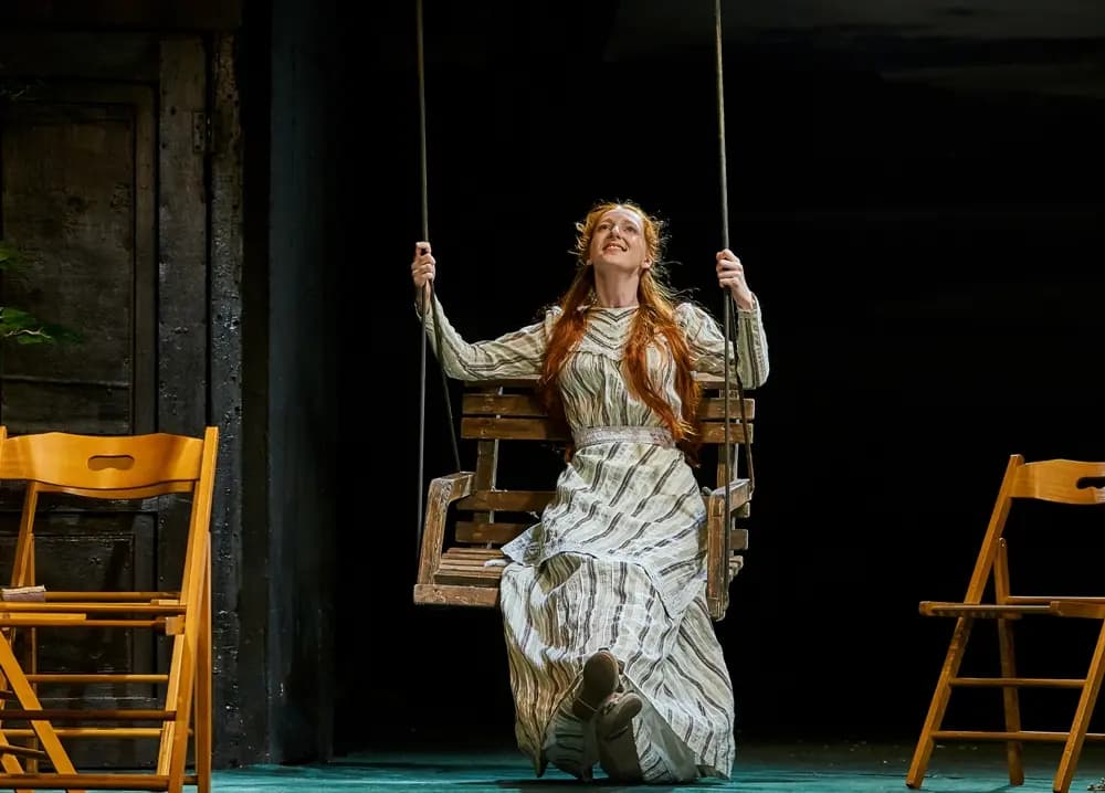 Чайка (Театр «У Моста»)