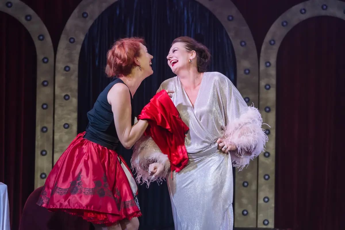 Стриптизёр под прицелом. Дежавю (Красная мельница)