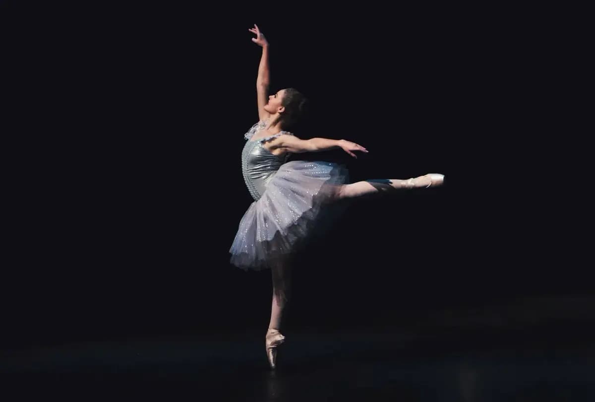 Лебединое озеро (Свято-Троицкая Александро-Невская лавра)