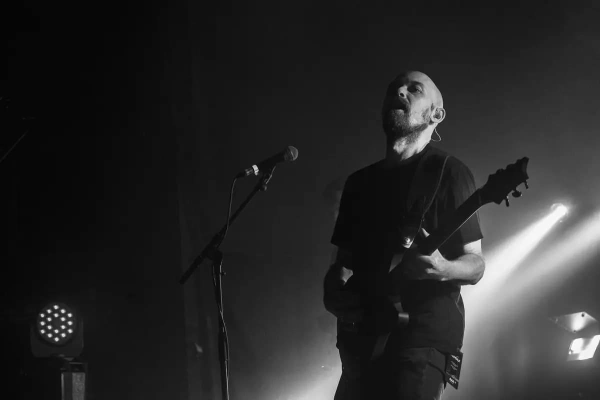 Эхомания (Ласточка)