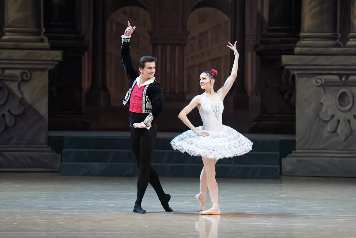 Дон Кихот (НОВАТ)