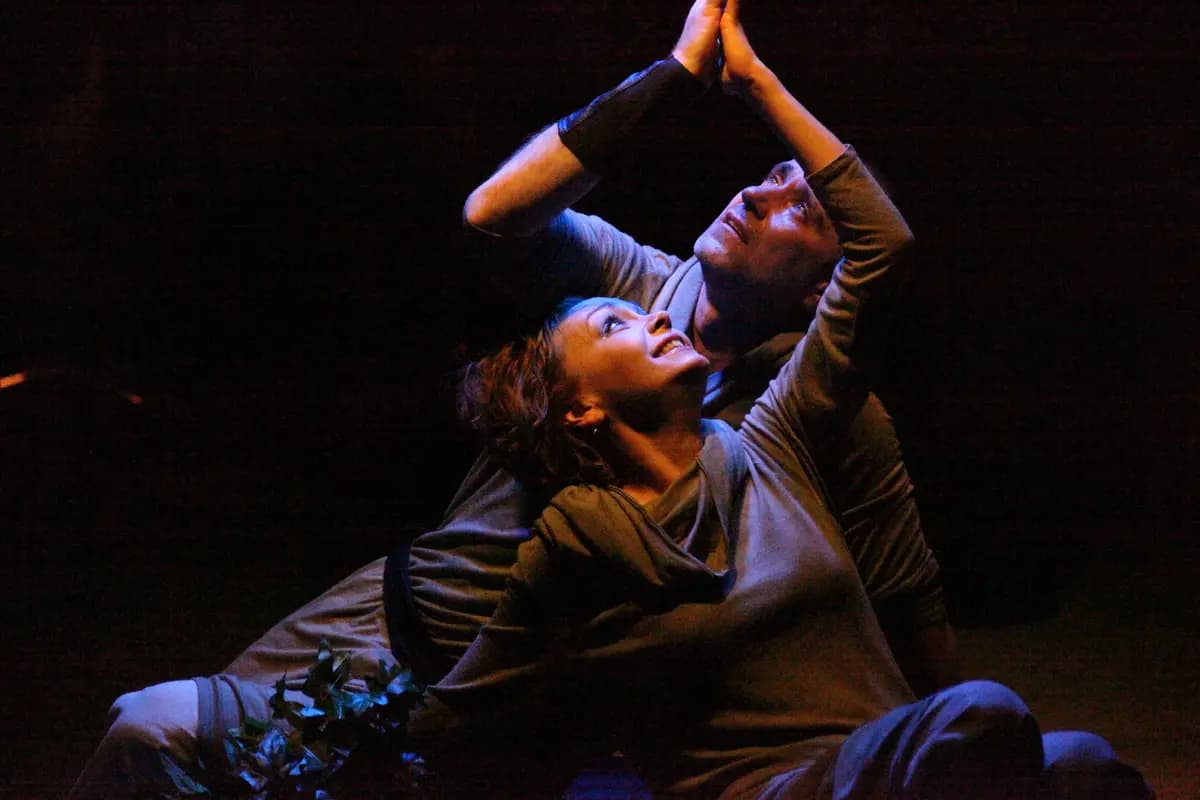 Чайка (Театр на Юго-Западе)