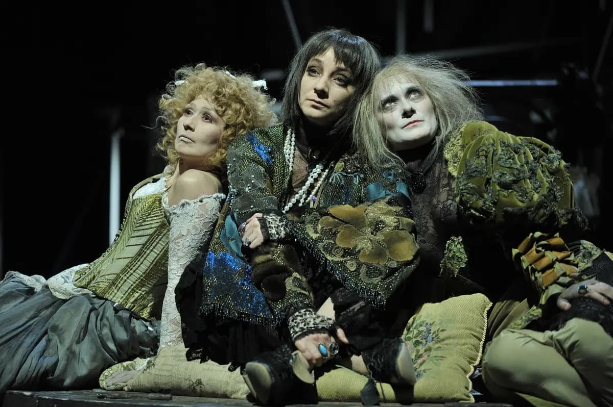 Безум­ная из Шайо (Мастерская Петра Фоменко)