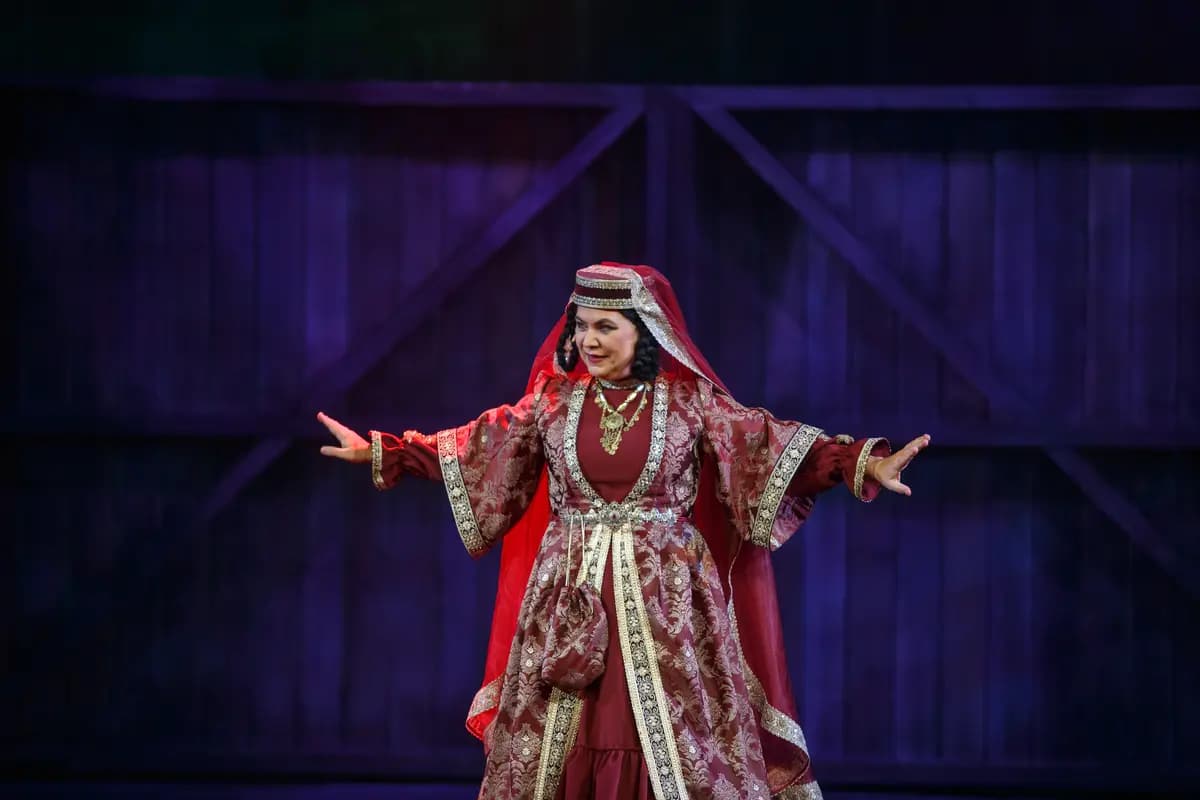 Ханума (Балтийский дом)