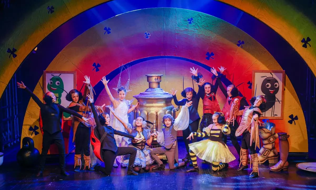 Муха-цокотуха (Детский музыкальный театр юного актёра)