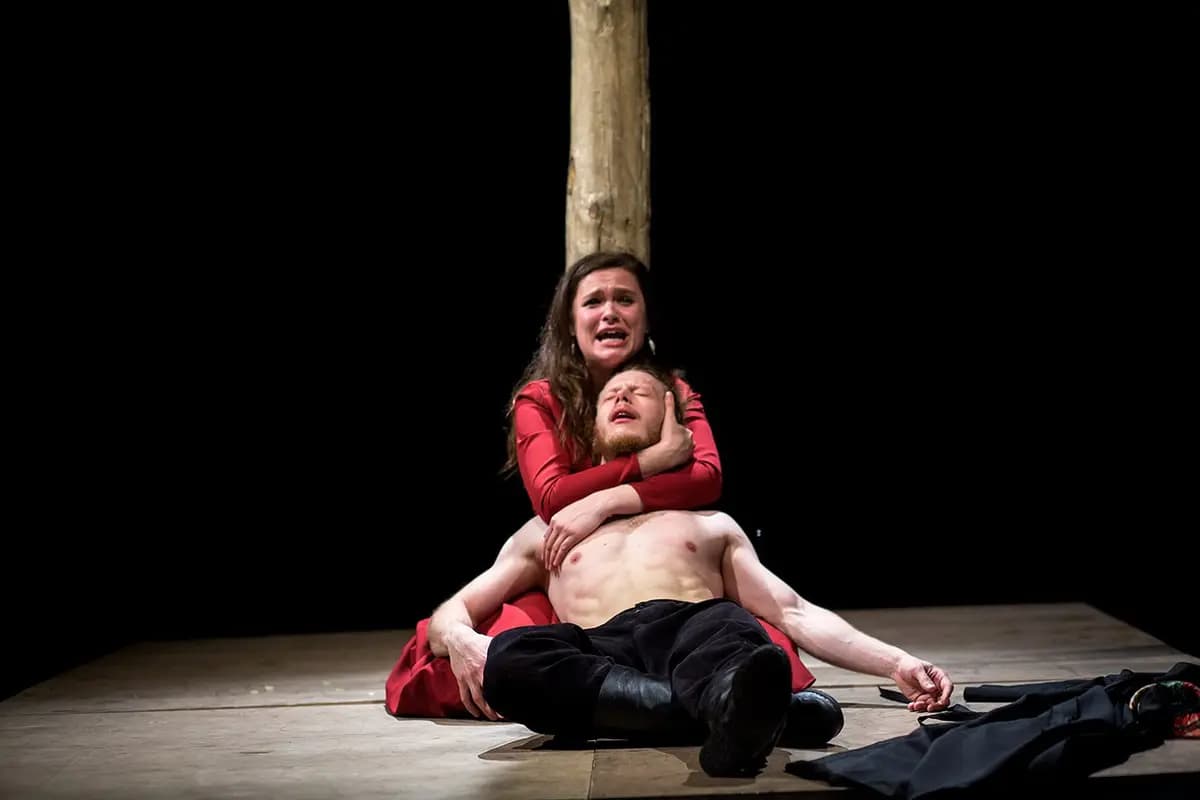 Братья Карамазовы (Небольшой драматический театр)