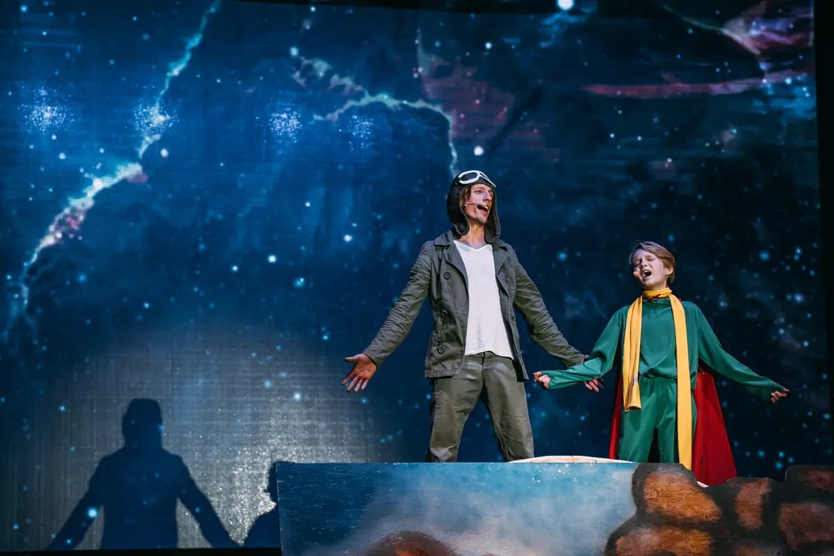 Маленький принц (ДКЖ)