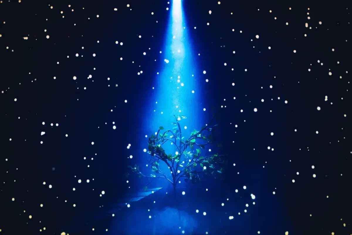 Любовь и голуби (ДК профсоюзов)