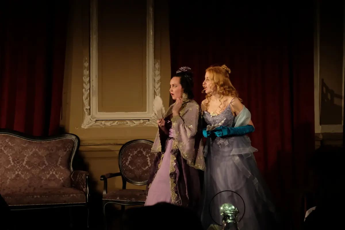 Гоголь-моголь (Дом Шрёдера)