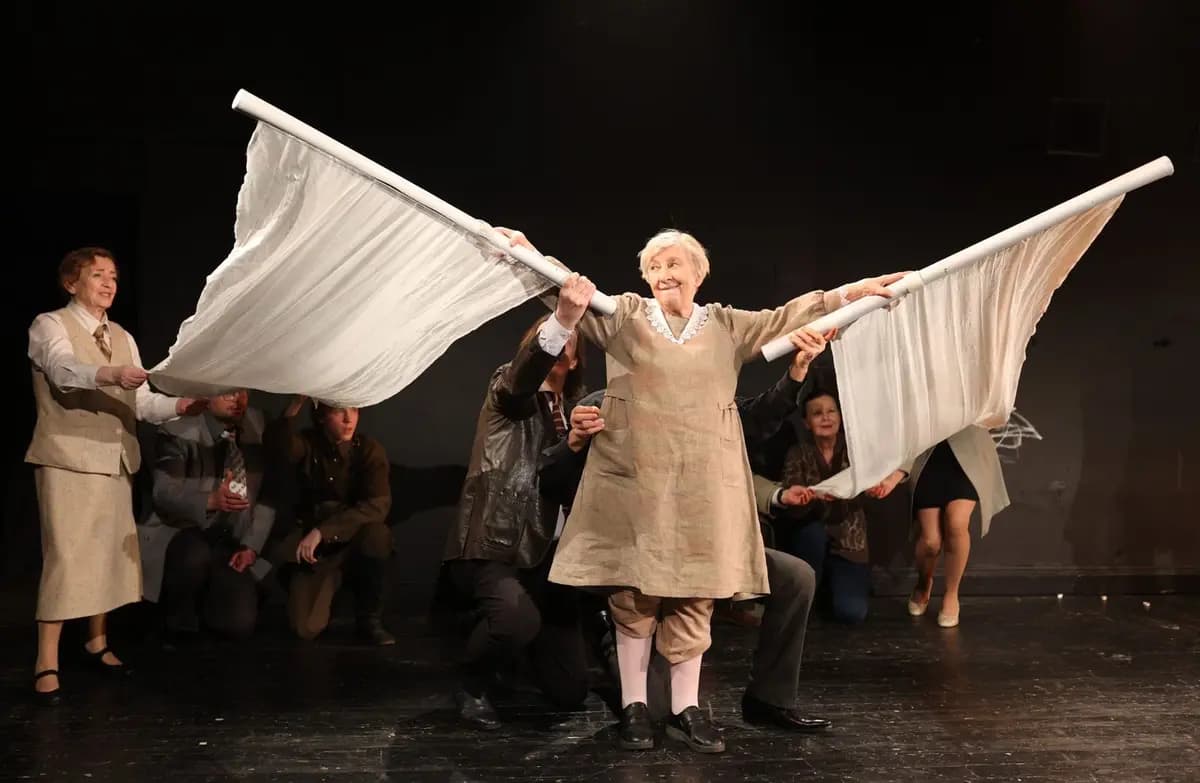 Счастливые дни Соколовой Ирины (ТЮЗ им. Брянцева)