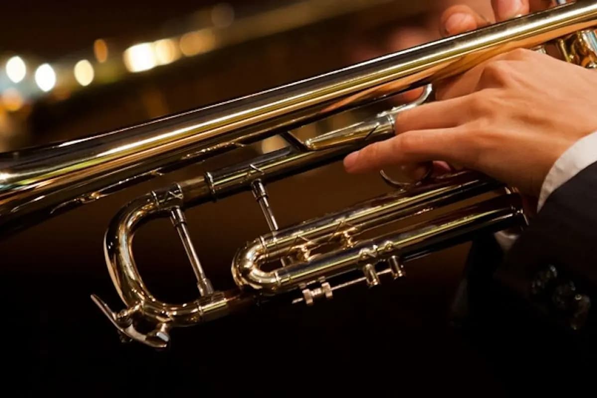 Орган-оркестр: Интерстеллар, Король Лев, Пираты Карибского моря, Темный рыцарь (Кафедральный собор Святых Петра и Павла)