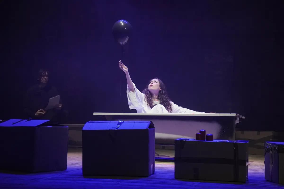 Чайка (Русский драматический театр им. Горького)