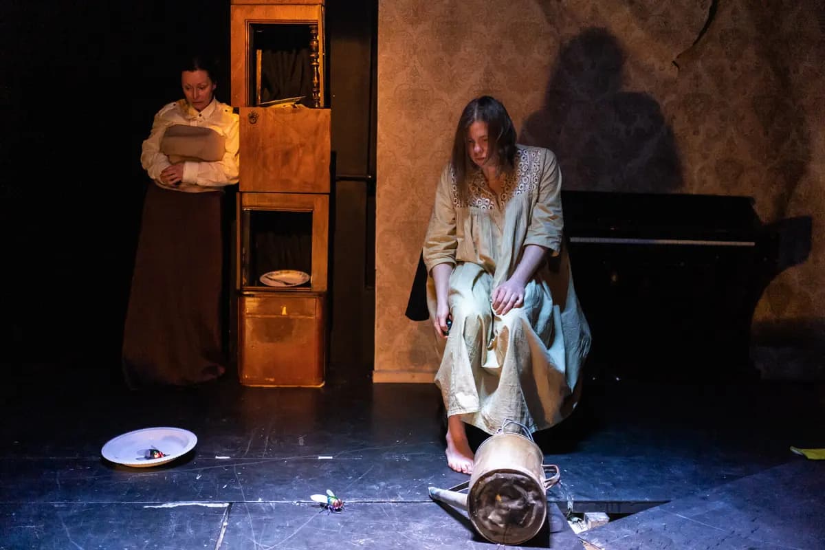 Сюзанна (Большой театр кукол)