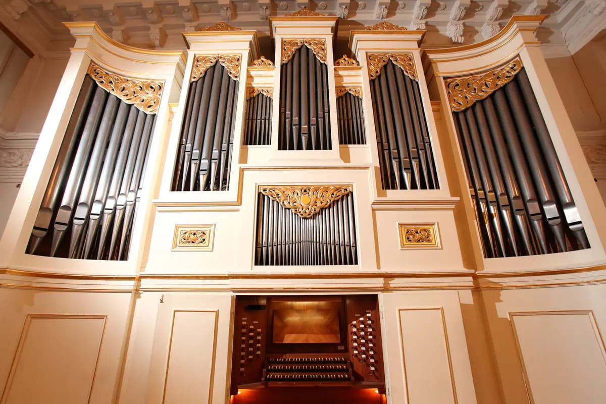 Даниэль Сальвадор (Консерватория им. Глинки)