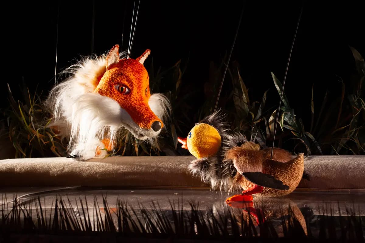 Серая шейка (Экият)