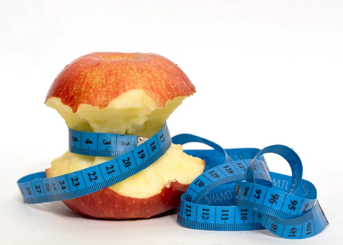 Дневник толстушки (Дом актёра)