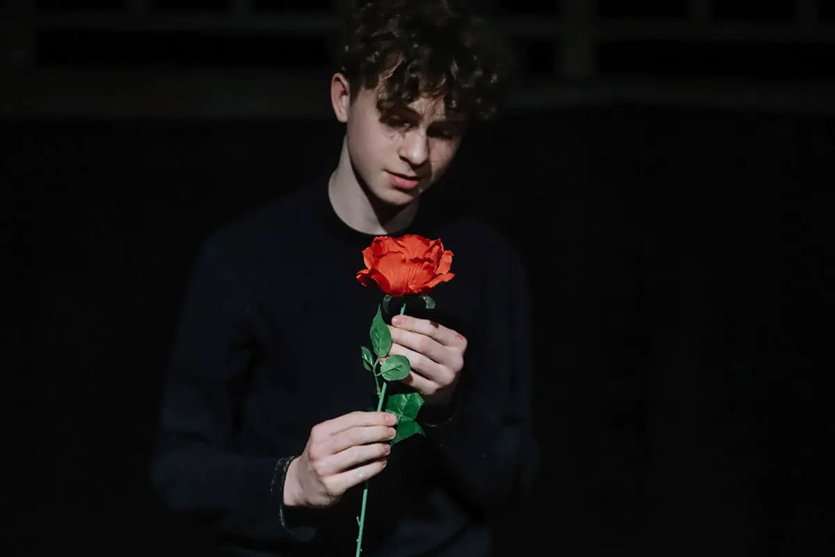 Маленький принц (Veritas)