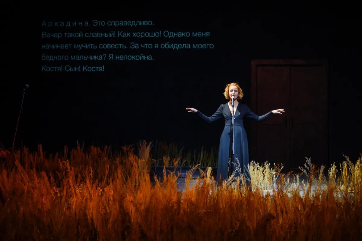 Чайка (Новая сцена Александринского театра)