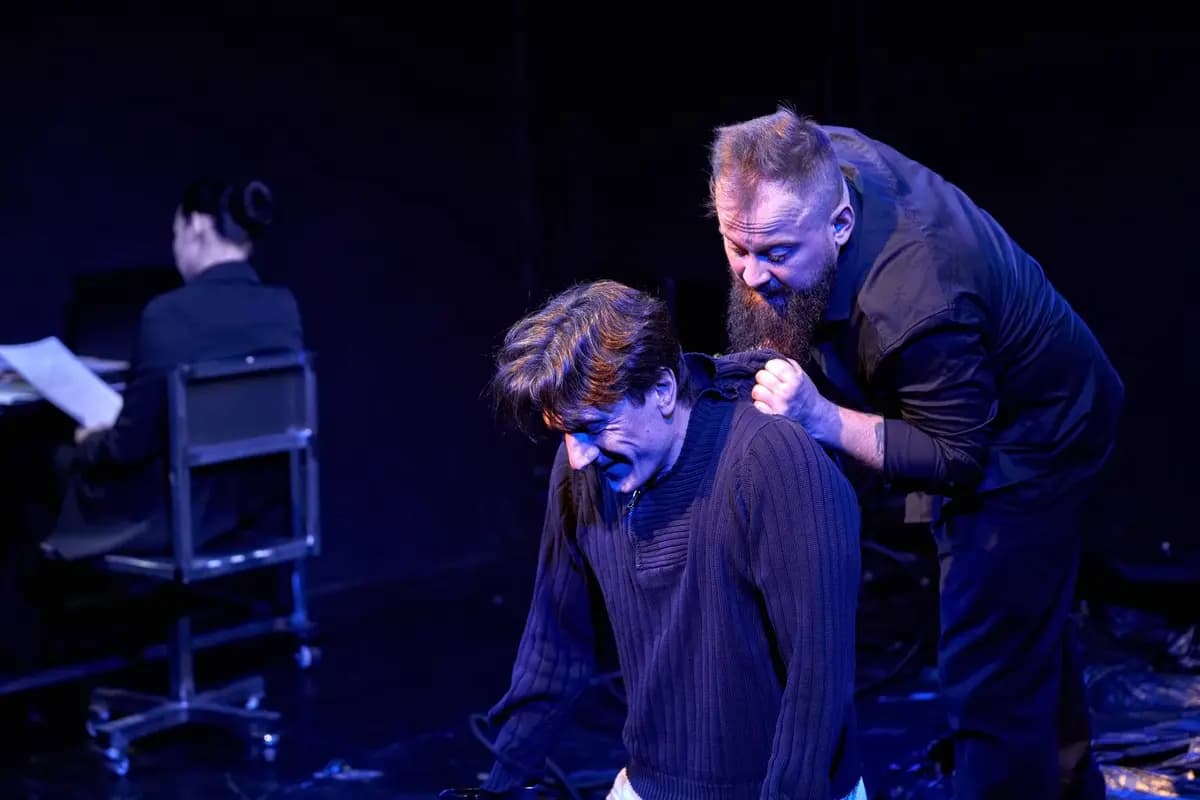 Человек-подушка (Театр «Кот»)