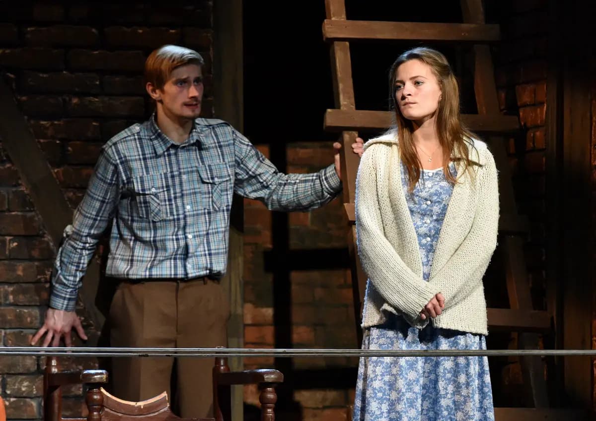 Старый дом (Русский драматический театр)