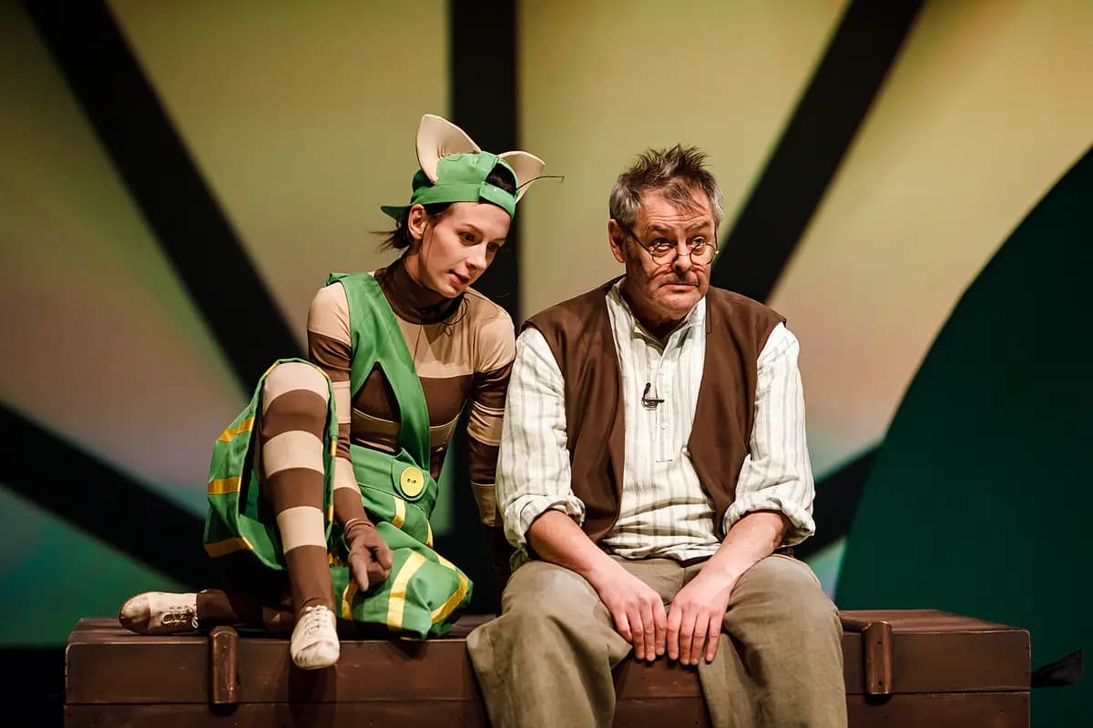 Петсон и Финдус (ТЮЗ им. Брянцева)