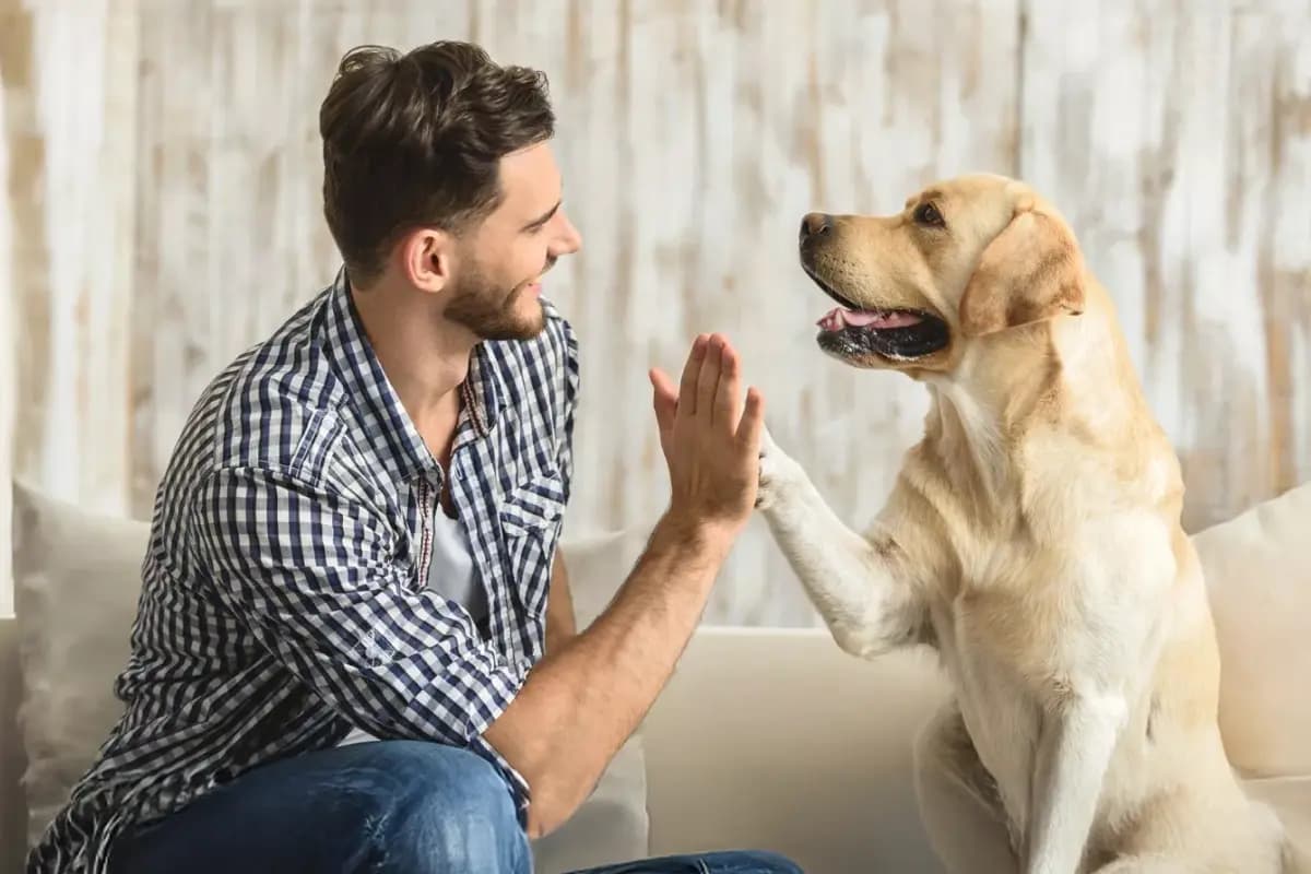 Благотворительный стендап-концерт (Comedy 34)