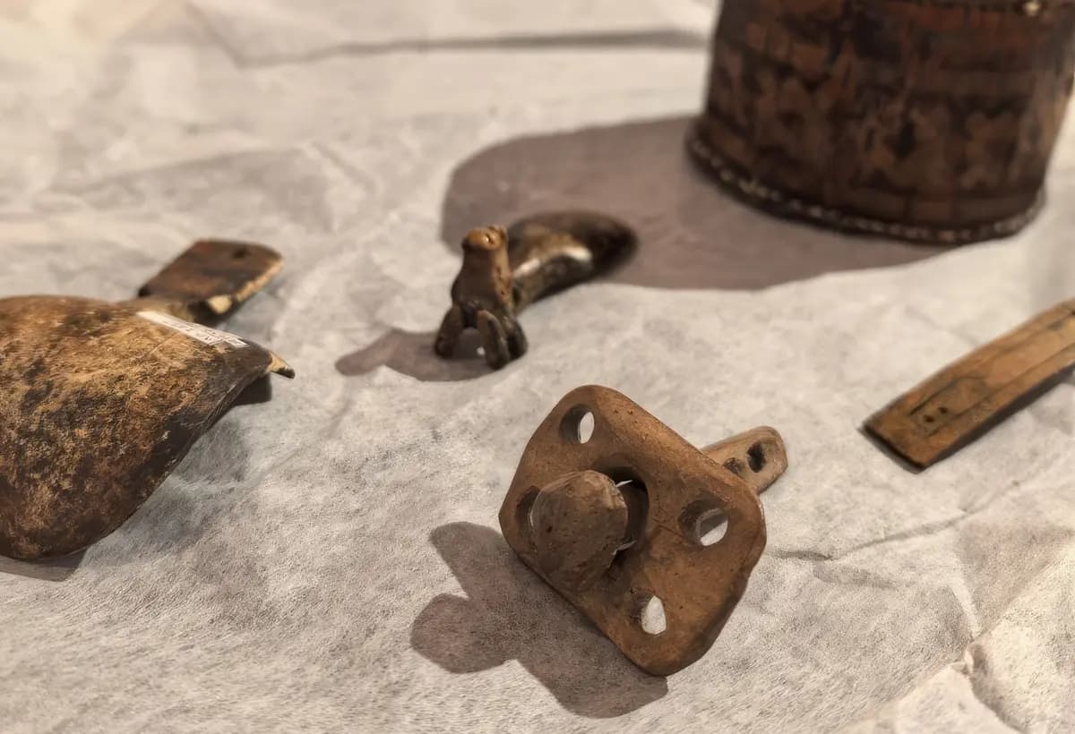 40000 лет и зим. Долгий сон мамонтенка Любы (Краеведческий музей им. Шатилова)