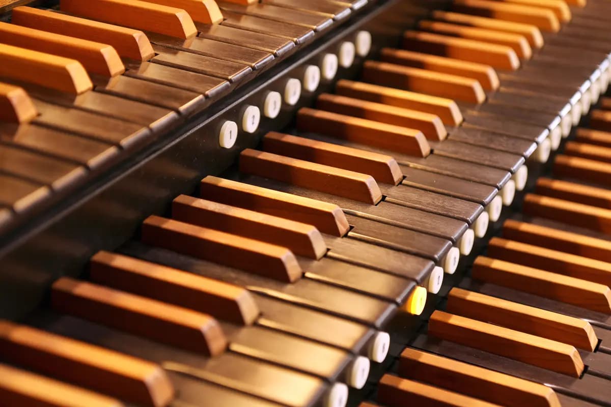 Единство гармоний (Петрикирхе)