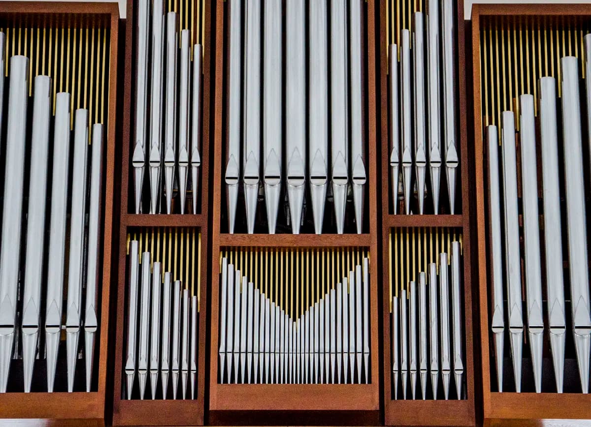 Музыкальный вернисаж (Петрикирхе)